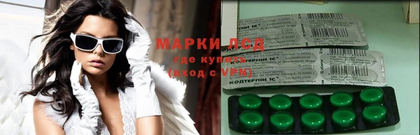 прущие грибы Абаза