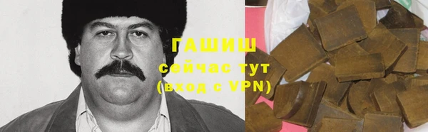 прущие грибы Абаза