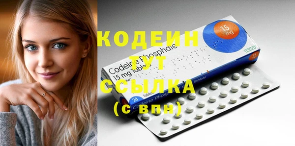 прущие грибы Абаза