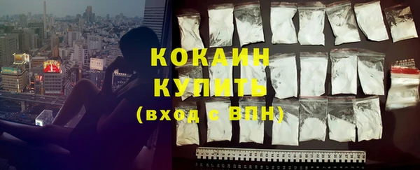 прущие грибы Абаза